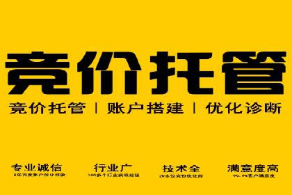竞价广告实战：XX品牌如何通过竞价提升品牌影响力